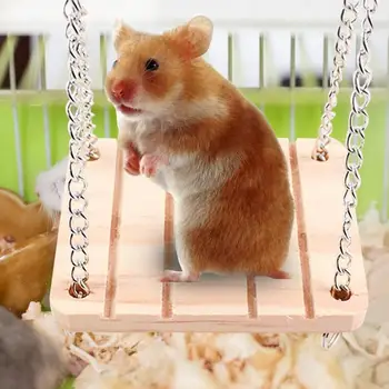 Gaiola Balanço Molar de Brinquedo Para Hamster Não Quebráveis Pequenos Animais Brinquedo de Atividade DIY Gaiola do Hamster Acessórios de Aves Papagaio Jogar Suprimentos