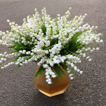 6Pcs/lt Agradável Branco Lírio Do Vale, Flor de plantas de Interior Raras Sino de Orquídeas, plantas Aroma Rico Bonsai Flores Belas Plantas