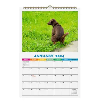 Cão Cocó Calendário 2024 Engraçado Calendário Cão Mordaça Presentes Cães Cocó Em Lugares Bonitos 2024 Calendário Cão 2024 Hangable Calendário